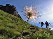 Monte Mincucco (cima 2001 m – croce 1832 m) dai Piani dell’Avaro il 19 agosto 2020 - FOTOGALLERY